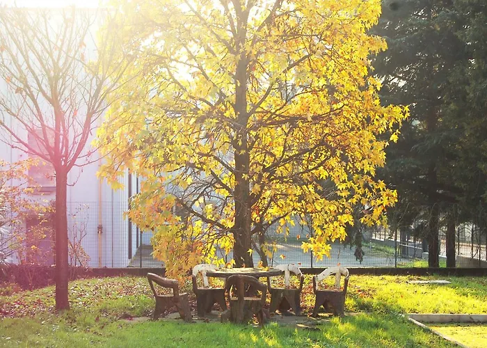 Apartment Giulia Attic *